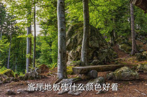 客厅地板砖什么颜色好看