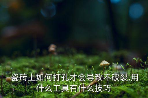  瓷砖上如何打孔才会导致不破裂,用什么工具有什么技巧