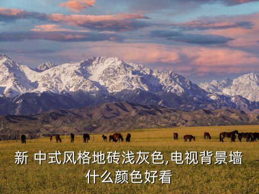 新 中式风格地砖浅灰色,电视背景墙什么颜色好看