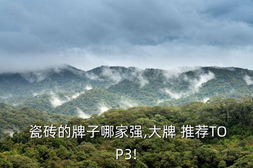  瓷砖的牌子哪家强,大牌 推荐TOP3!