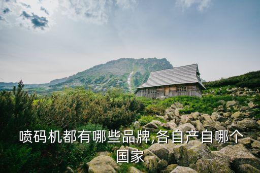  喷码机都有哪些品牌,各自产自哪个国家