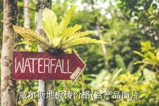 威尔斯地板砖价格(含产品图片