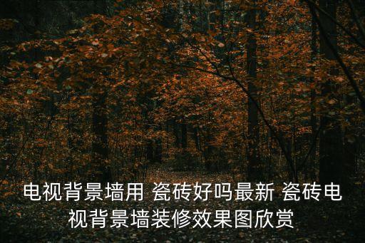 电视背景墙用 瓷砖好吗最新 瓷砖电视背景墙装修效果图欣赏