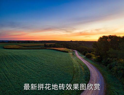 最新拼花地砖效果图欣赏