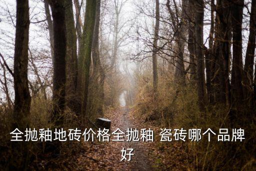 全抛釉地砖价格全抛釉 瓷砖哪个品牌好