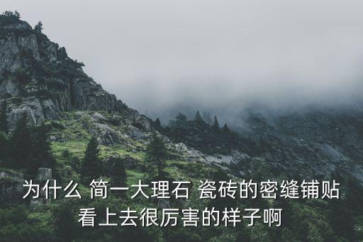 为什么 简一大理石 瓷砖的密缝铺贴看上去很厉害的样子啊