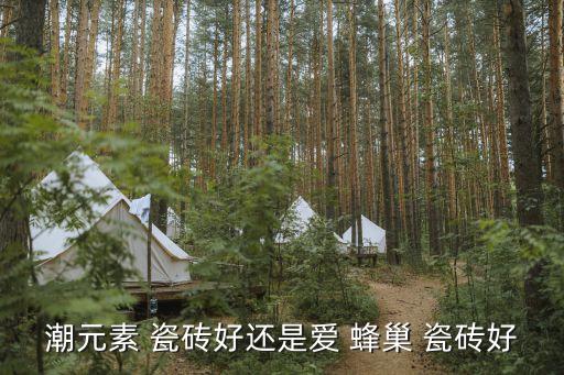蜂巢样式瓷砖效果图,木地板样式的瓷砖效果图