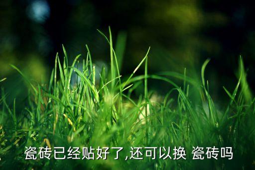 卫生间地下瓷砖可以换么