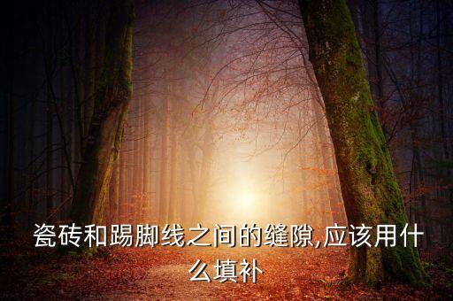  瓷砖和踢脚线之间的缝隙,应该用什么填补