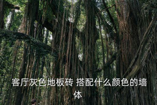 客厅灰色地板砖 搭配什么颜色的墙体