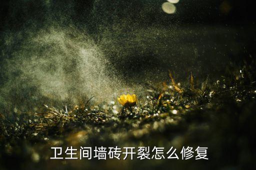  卫生间墙砖开裂怎么修复
