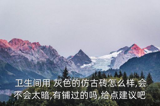  卫生间用 灰色的仿古砖怎么样,会不会太暗,有铺过的吗,给点建议吧