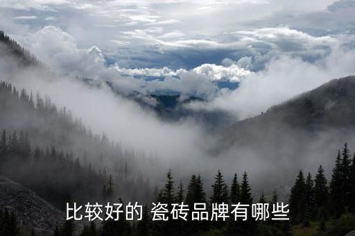 比较好的 瓷砖品牌有哪些