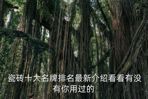 怎么写品牌瓷砖的总结,瓷砖培训心得体会总结怎么写
