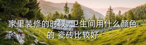 家里装修的时候, 卫生间用什么颜色的 瓷砖比较好