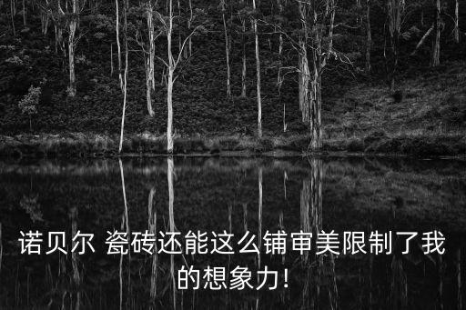 诺贝尔 瓷砖还能这么铺审美限制了我的想象力!
