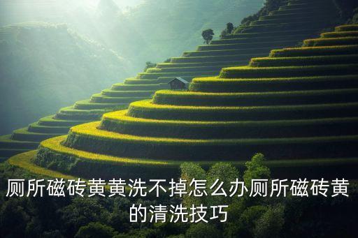 厕所磁砖黄黄洗不掉怎么办厕所磁砖黄的清洗技巧