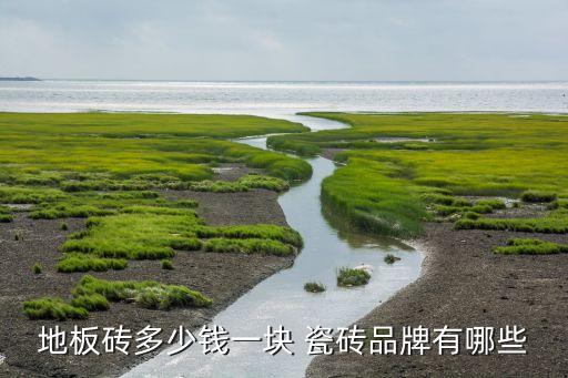 尼诺品牌瓷砖价格,为何同一品牌的瓷砖,价格不同