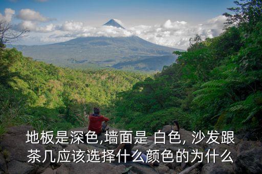 白色瓷砖配中式沙发效果图