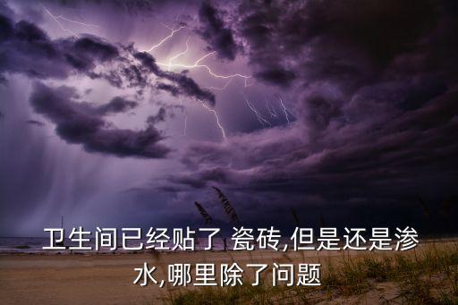 卫生间贴完瓷砖放水不干,最流行卫生间贴瓷砖效果图