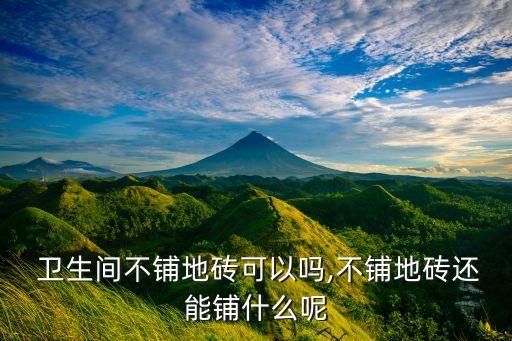  卫生间不铺地砖可以吗,不铺地砖还能铺什么呢