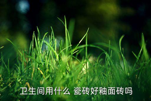  卫生间用什么 瓷砖好釉面砖吗