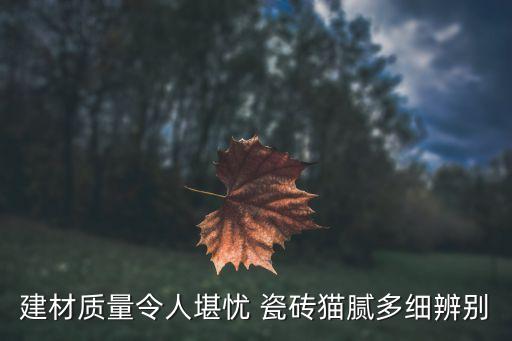 什么品牌瓷砖投诉少,瓷砖买什么品牌的性价比高