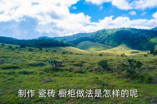 瓷砖橱柜和酒柜一体效果图,中式厨房橱柜酒柜装修效果图