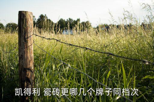 凯得利 瓷砖更哪几个牌子同档次