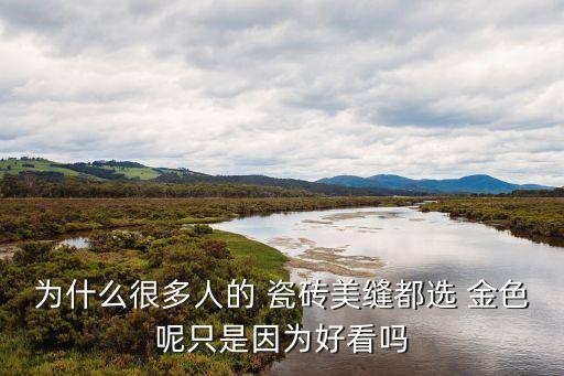 为什么很多人的 瓷砖美缝都选 金色呢只是因为好看吗