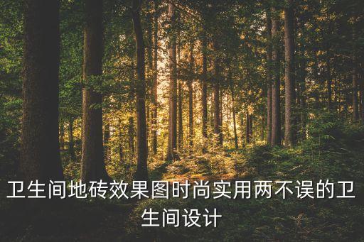 卫生间地砖效果图时尚实用两不误的卫生间设计