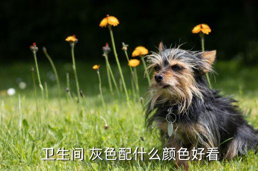 灰色瓷砖卫生间的搭配,灰卫生间灰色瓷砖搭配什么颜色毛巾架