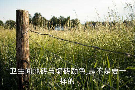  卫生间地砖与墙砖颜色,是不是要一样的