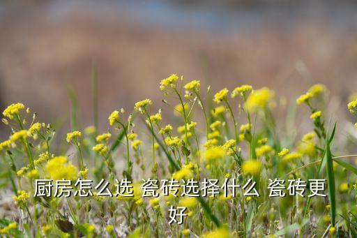 厨房装修效果图用瓷砖