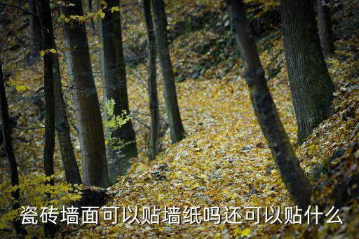  瓷砖墙面可以贴墙纸吗还可以贴什么