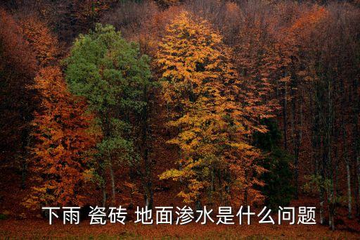 下雨 瓷砖 地面渗水是什么问题
