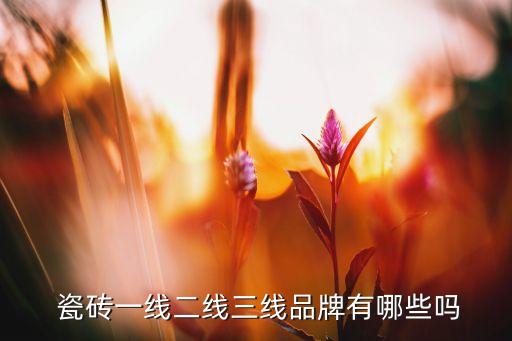乐高瓷砖几线品牌,sun瓷砖线是几线品牌
