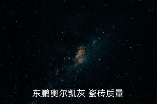 灰色瓷砖推荐品牌有哪些