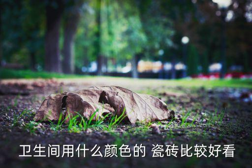  卫生间用什么颜色的 瓷砖比较好看