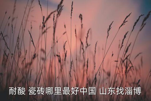 耐酸 瓷砖哪里最好中国 山东找淄博