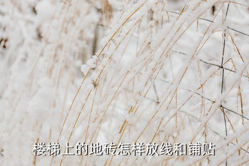 台阶瓷砖铺好效果图,室外台阶可以用瓷砖铺吗