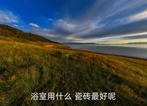 卫生间工程瓷砖图片,最新款卫生间瓷砖图片