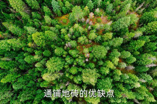  通铺地砖的优缺点