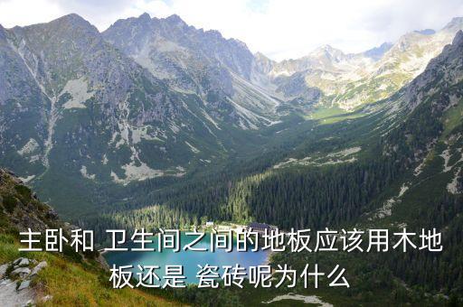 主卧和 卫生间之间的地板应该用木地板还是 瓷砖呢为什么