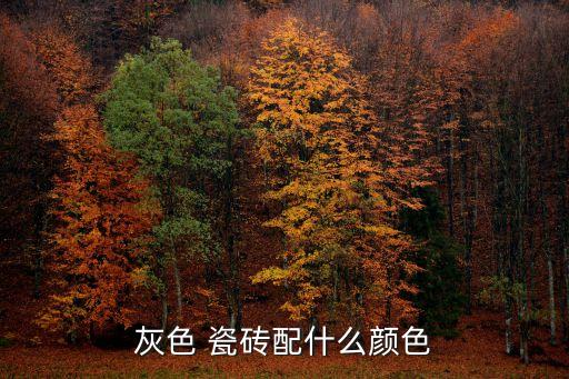 夜澜灰瓷砖通铺效果图