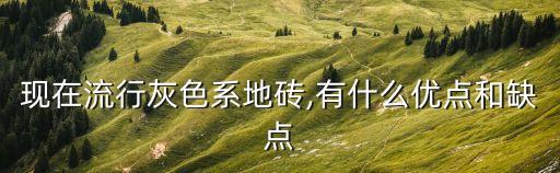 卫生间冰灰瓷砖好看吗,客厅卫生间通铺一种瓷砖好看吗