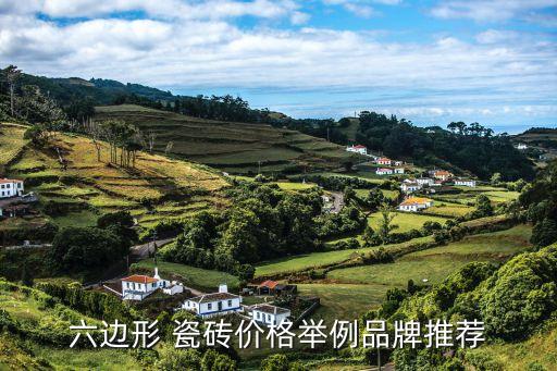 六边形 瓷砖价格举例品牌推荐