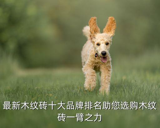 宁波金御地面耐磨瓷砖品牌