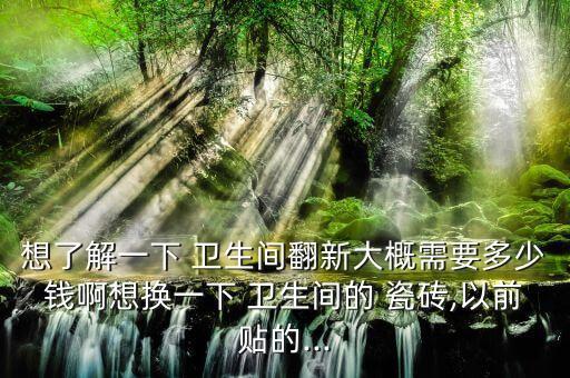 想了解一下 卫生间翻新大概需要多少钱啊想换一下 卫生间的 瓷砖,以前贴的...