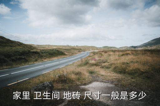 家里 卫生间 地砖 尺寸一般是多少